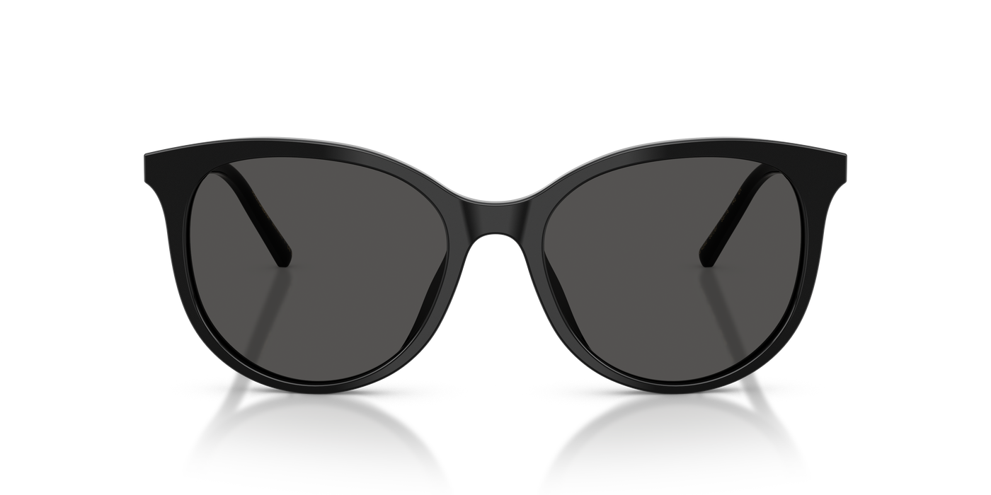 Anteojos de Sol Dolce & Gabbana DG4540  BLK SHN GRY