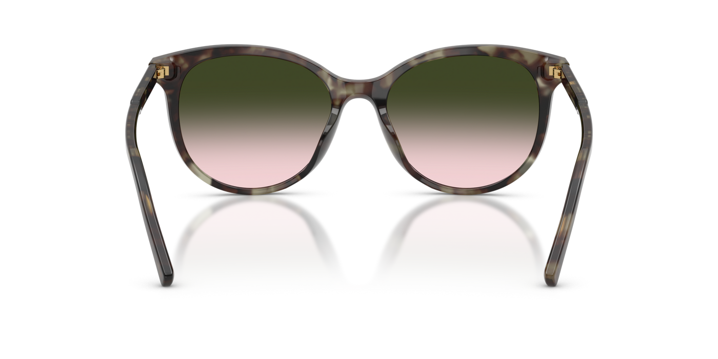 Anteojos de Sol Dolce & Gabbana 4540, 34782C